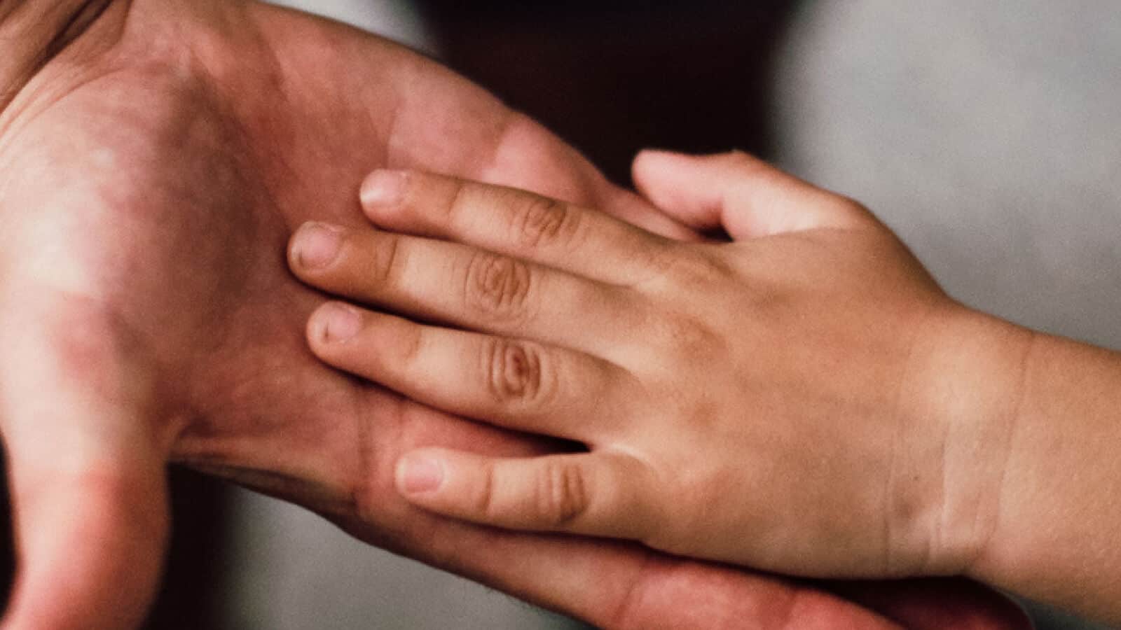 School Family Builds Resilience and Empathy