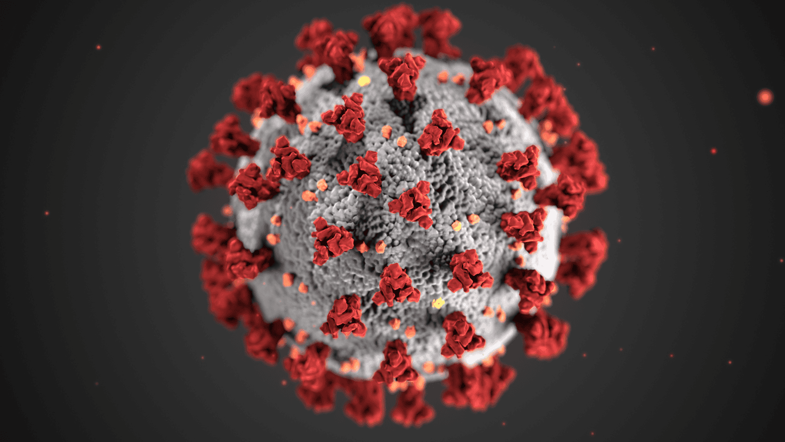 PEP Publishes Coronavirus Resource Site