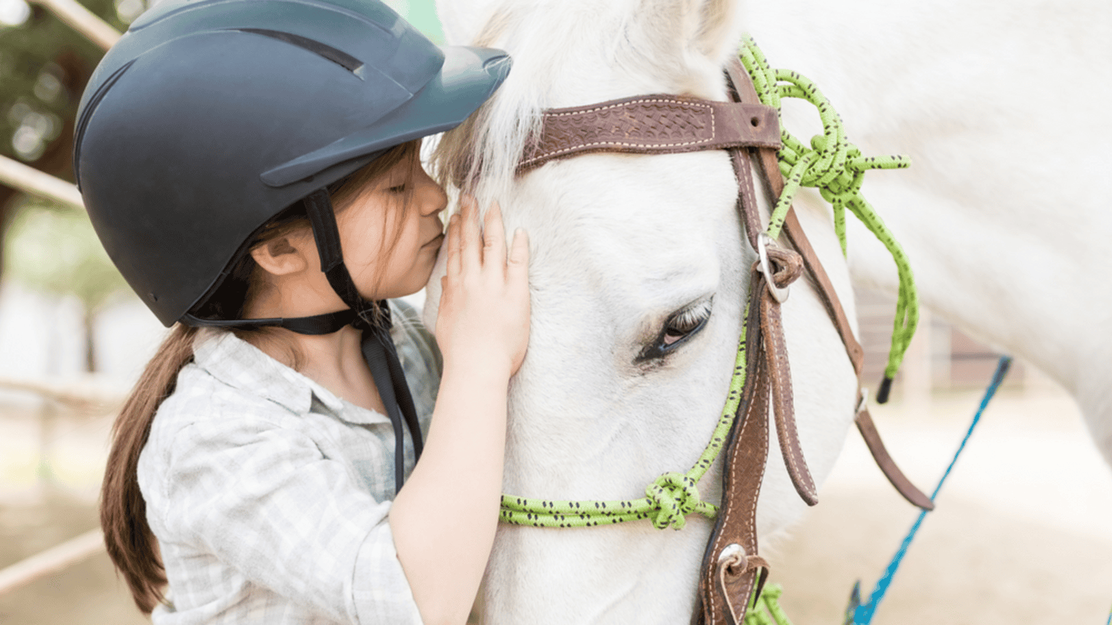 PEP Willow Creek Begins Equine-Assisted Therapy