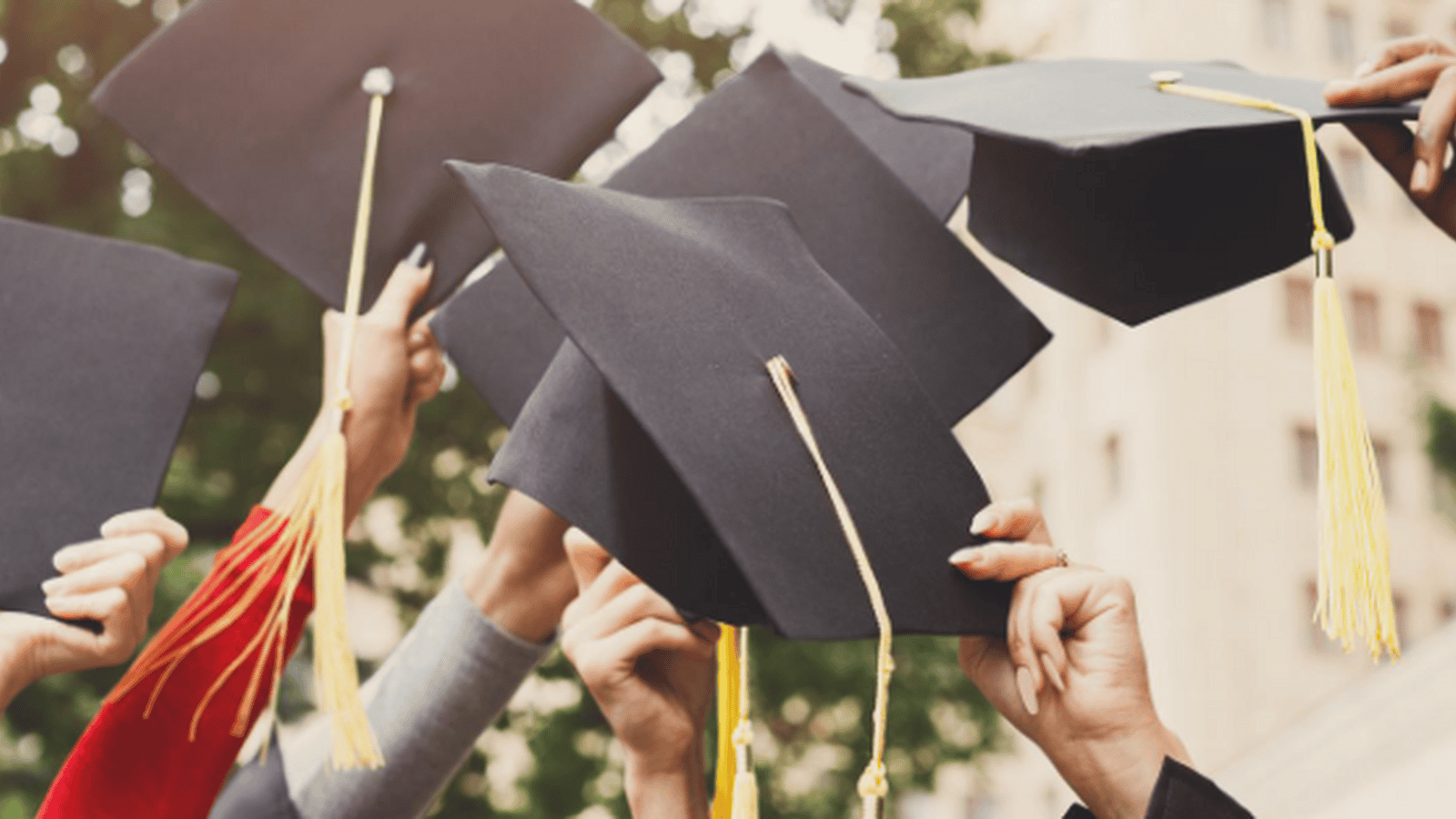 How the OMJ Readiness Seal Can Brighten a Student’s Future