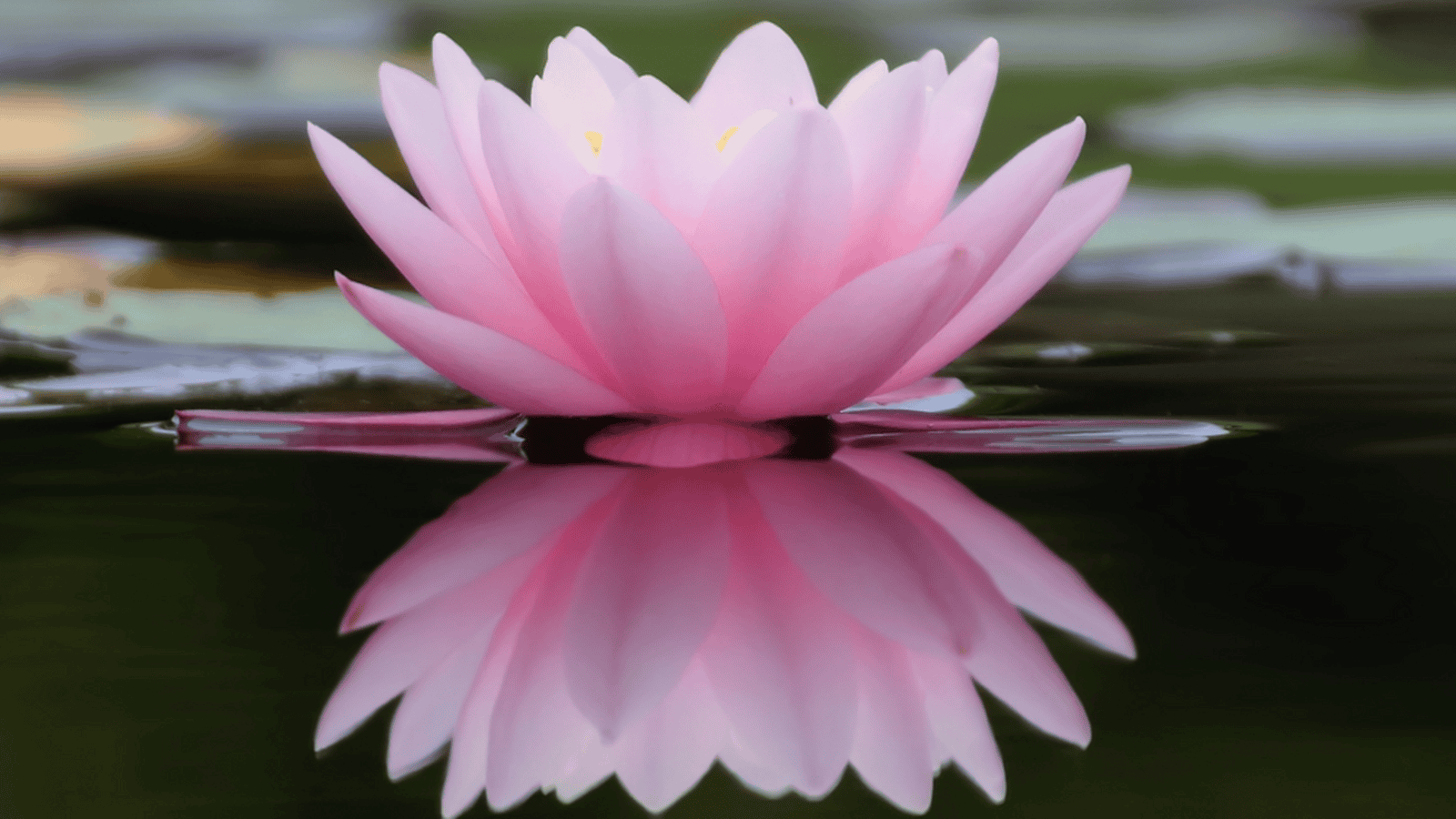 Three Simple Ways to Promote Mental Wellness