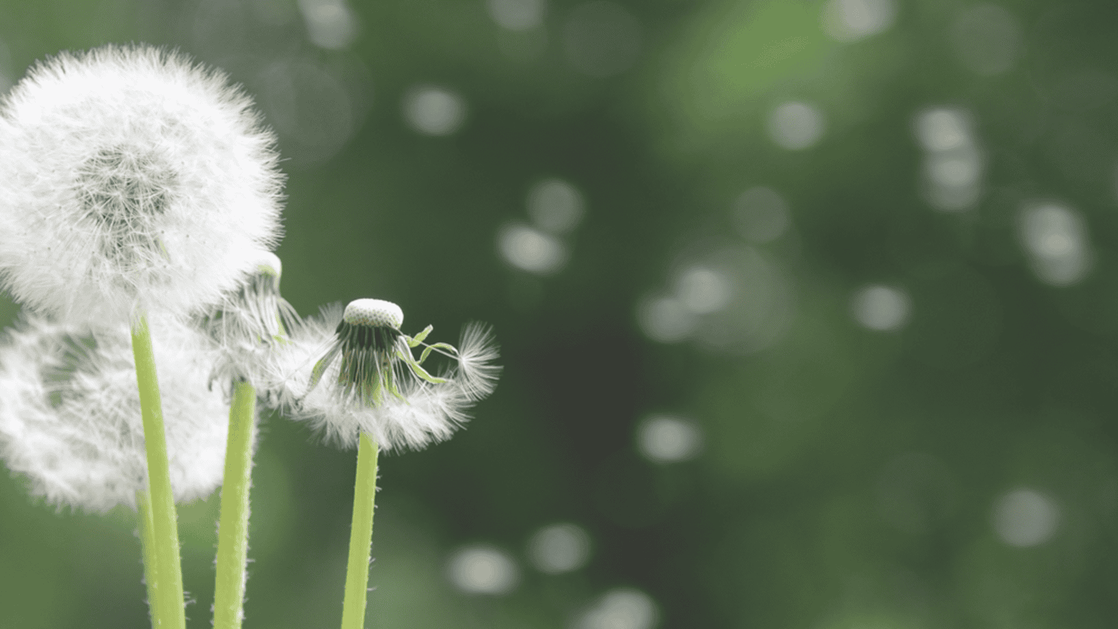 Re-ED 101: Three Big Ideas that Changed Everything
