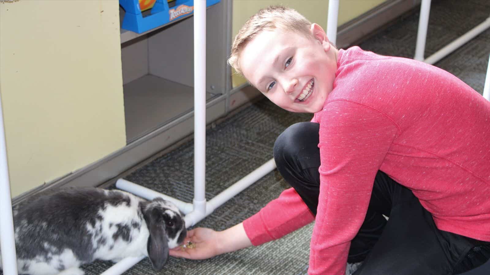 Data Confirms Benefits of Animal-Assisted Therapy