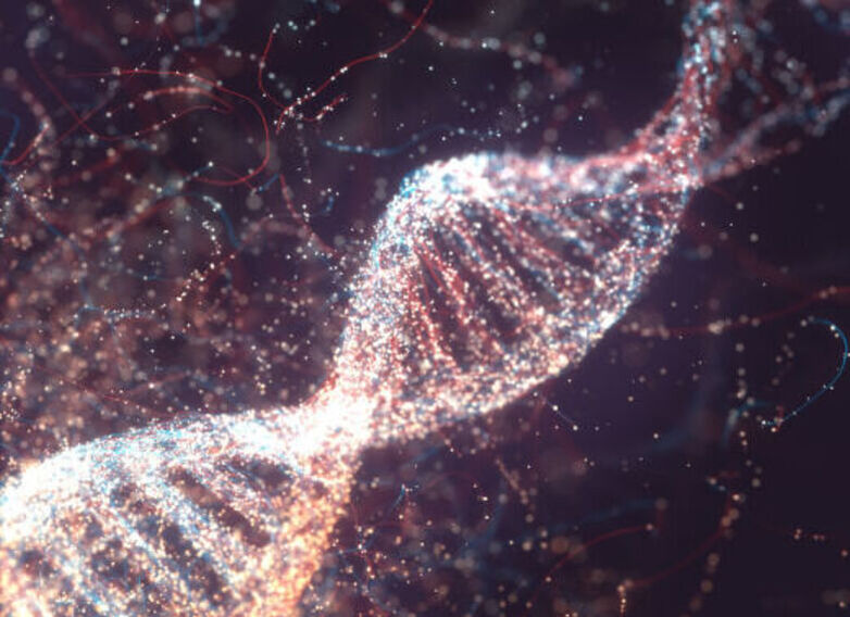 Dna