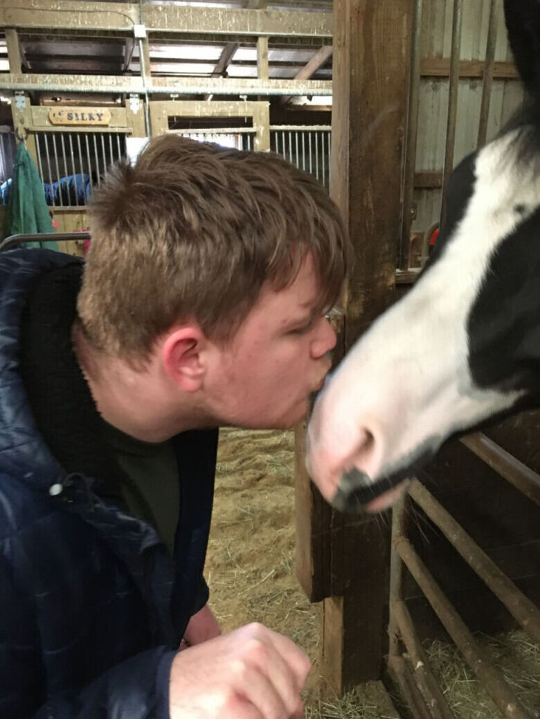 Kissie horse